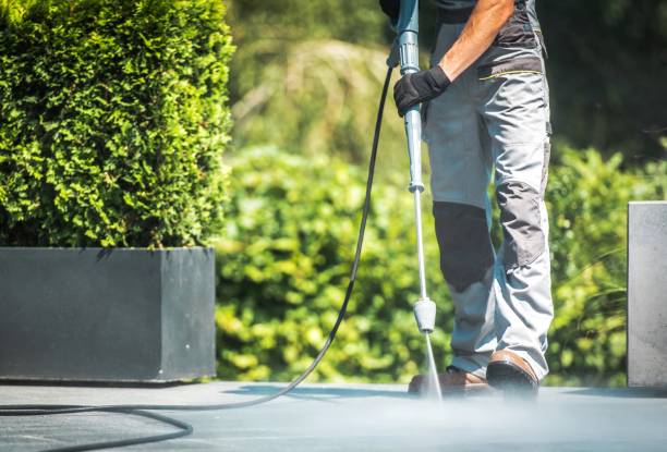 Best Sidewalk and Walkway Cleaning  in Abaster, AL