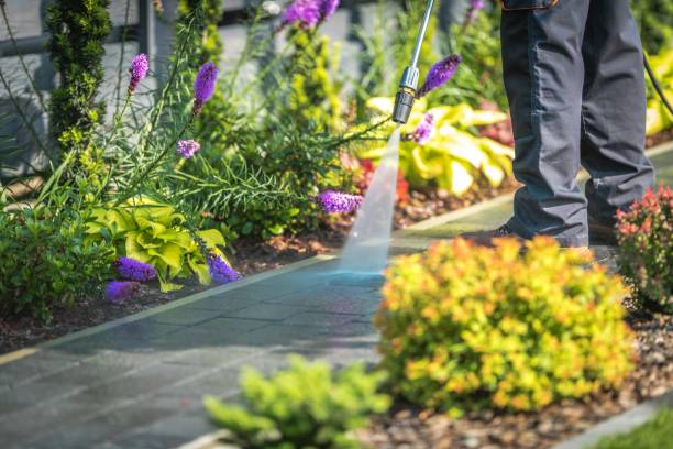 Best Pool Deck Cleaning  in Abaster, AL